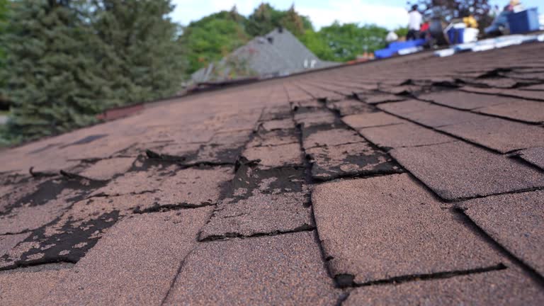 Best Gutter Installation and Repair  in Rainier, OR